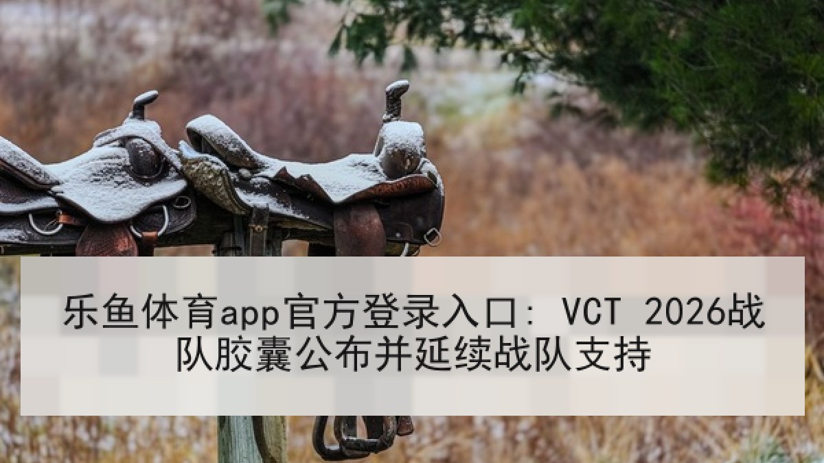乐鱼体育app官方登录入口: VCT 2026战队胶囊公布并延续战队支持 乐鱼体育app官方登录入口: VCT 2026战队胶囊公布并延续战队支持