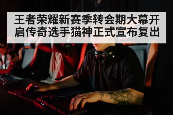 王者荣耀新赛季转会期大幕开启传奇选手猫神正式宣布复出
